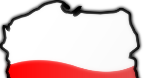 Polski sukces! KREPTD-dzięki interwencji KP Viggen w PE trudniej będzie utracić licencję transportową!