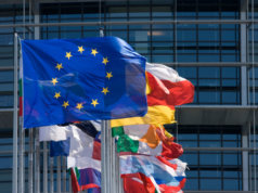 Rola i zakres Wytycznych KE