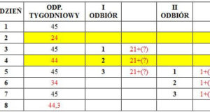 Jak prawidłowo odebrać ‘odpoczynek skrócony’?