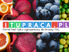 I tu praca czeka na Ciebie