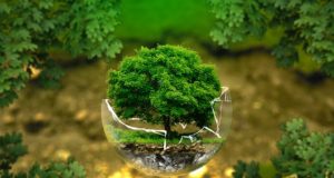 Przypominamy o rozliczeniu opłaty środowiskowej