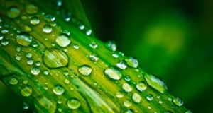 Opłata środowiskowa 2020