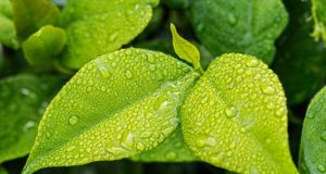 Upływa termin opłaty środowiskowej!